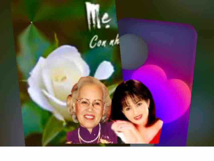 Gặp Mẹ Trong Mơ 