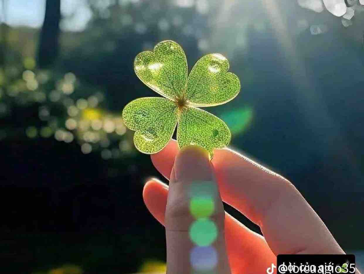 1/8/2024 ♥️ Lúc Mới Yêu ♥️