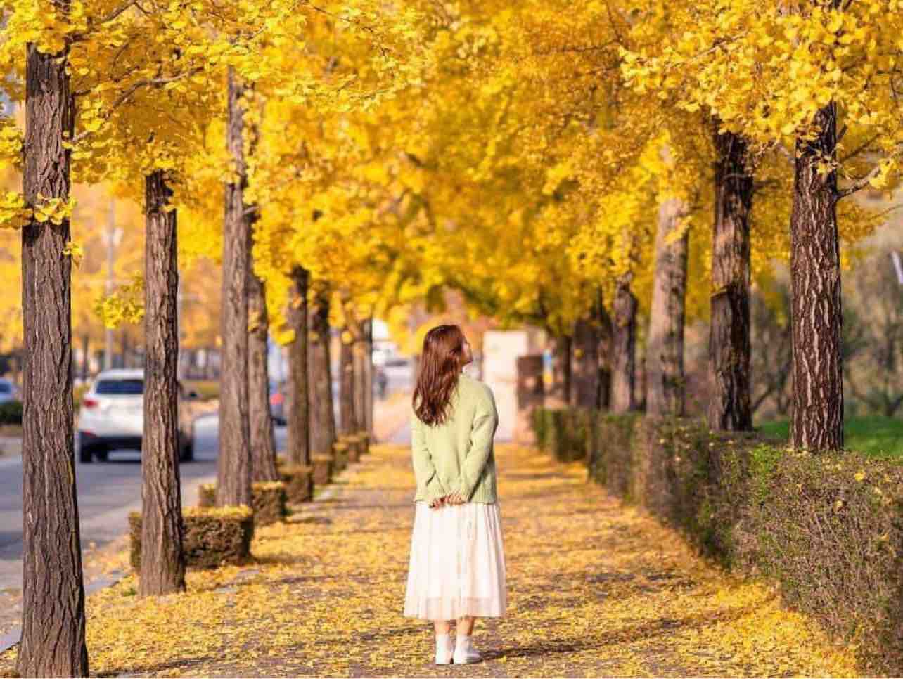  SC Bài Tình Ca Cho Em 11/10/2024