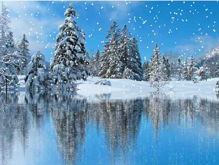TUYẾT RƠI ❄️