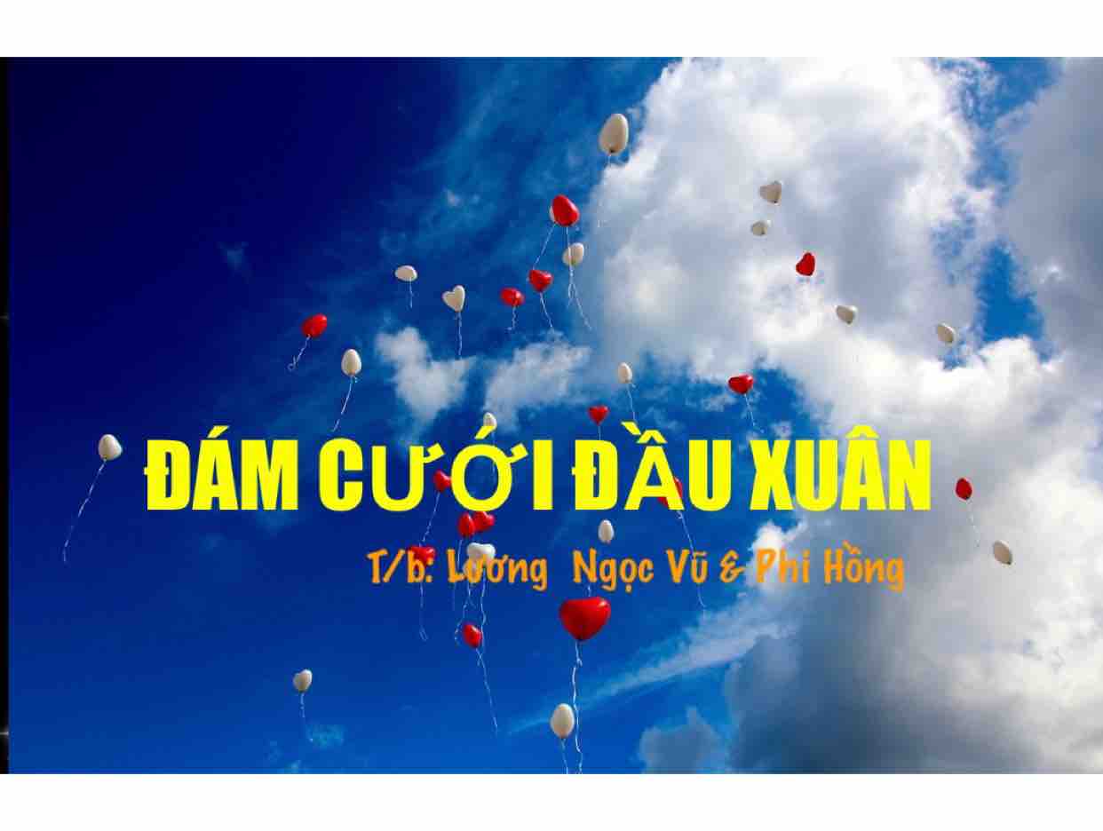 Đám Cưới Đầu Xuân