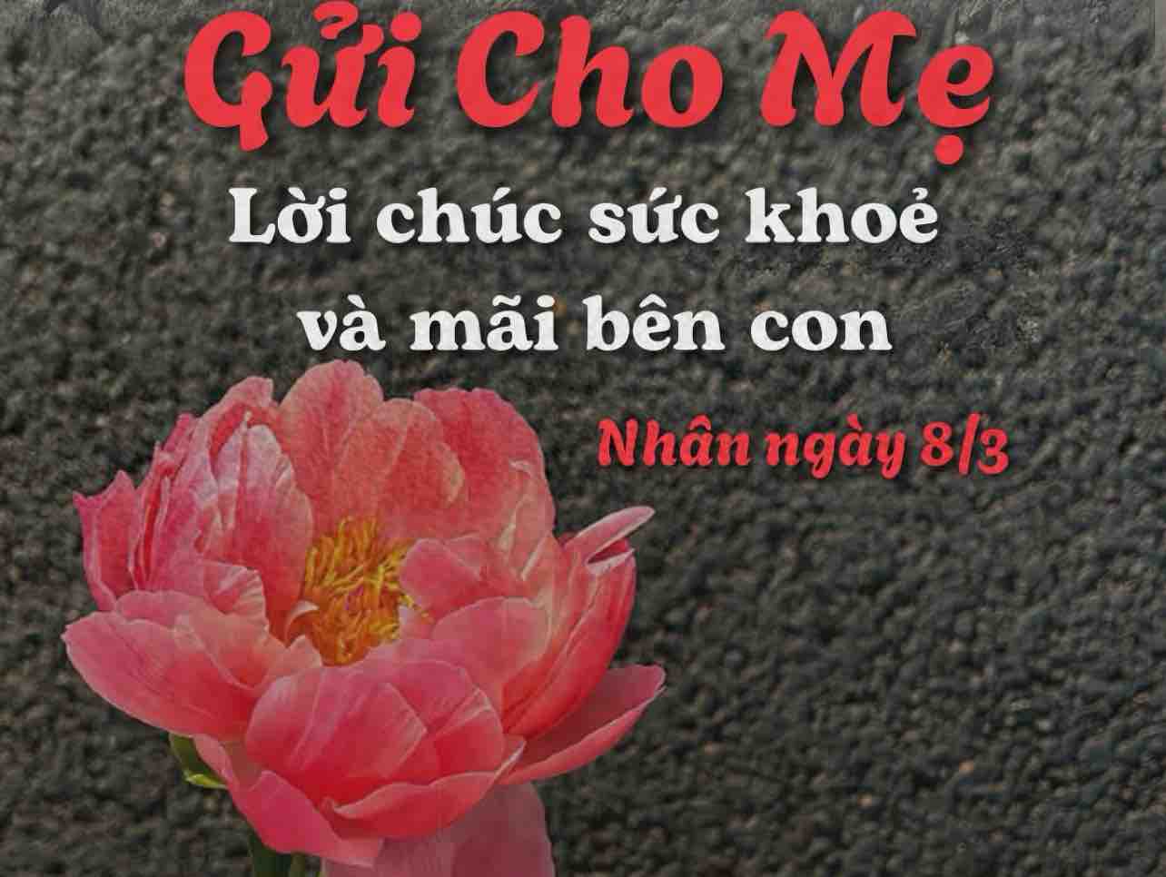 92_Nợ Mẹ❤️Tiểu Long Nữ 