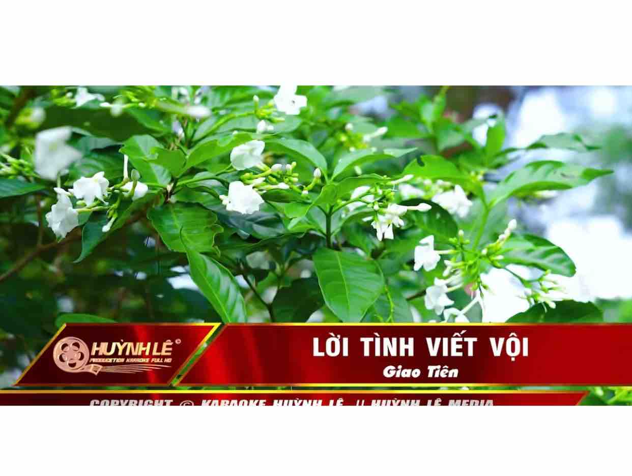Lời Tình Viết Vội -⭐️SC Cùng CANDY⭐️♥️♥️