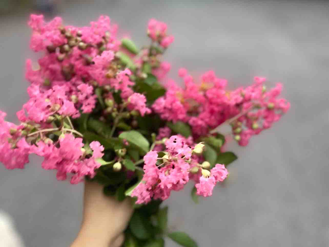 Từ Lúc Mình Chia Tay 