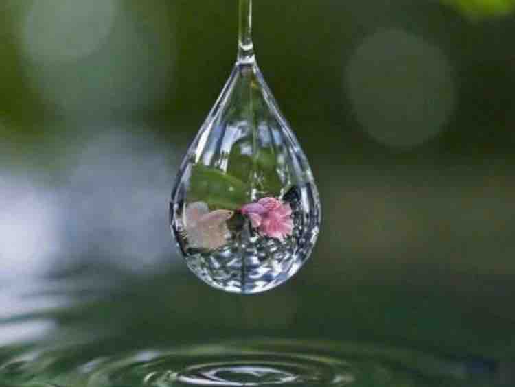 Chờ Đông Song ca☘️Ngọc Hương@Bạn☘️