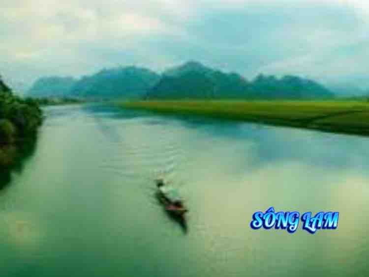  ĐỪNG TRÁCH CÂU VÍ ĐẶM 