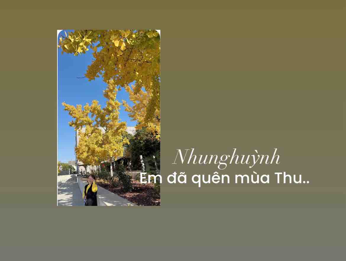         Em Đã Quên Mùa Thu- Nhunghuỳnh 