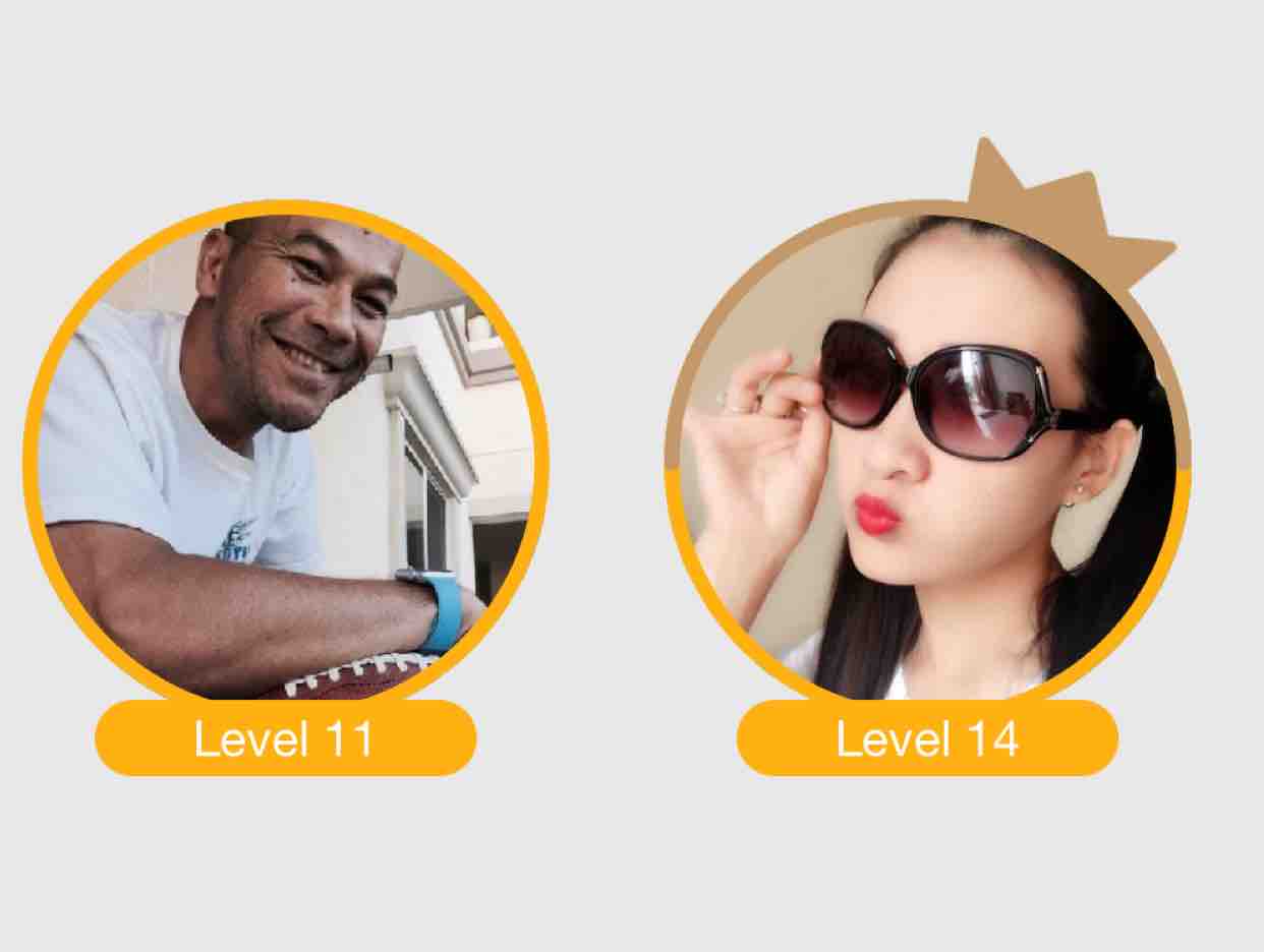 Gặp Nhau Trong Rừng Mơ