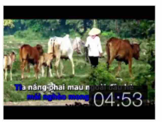 Nhat Nang Karaoke Song Ca