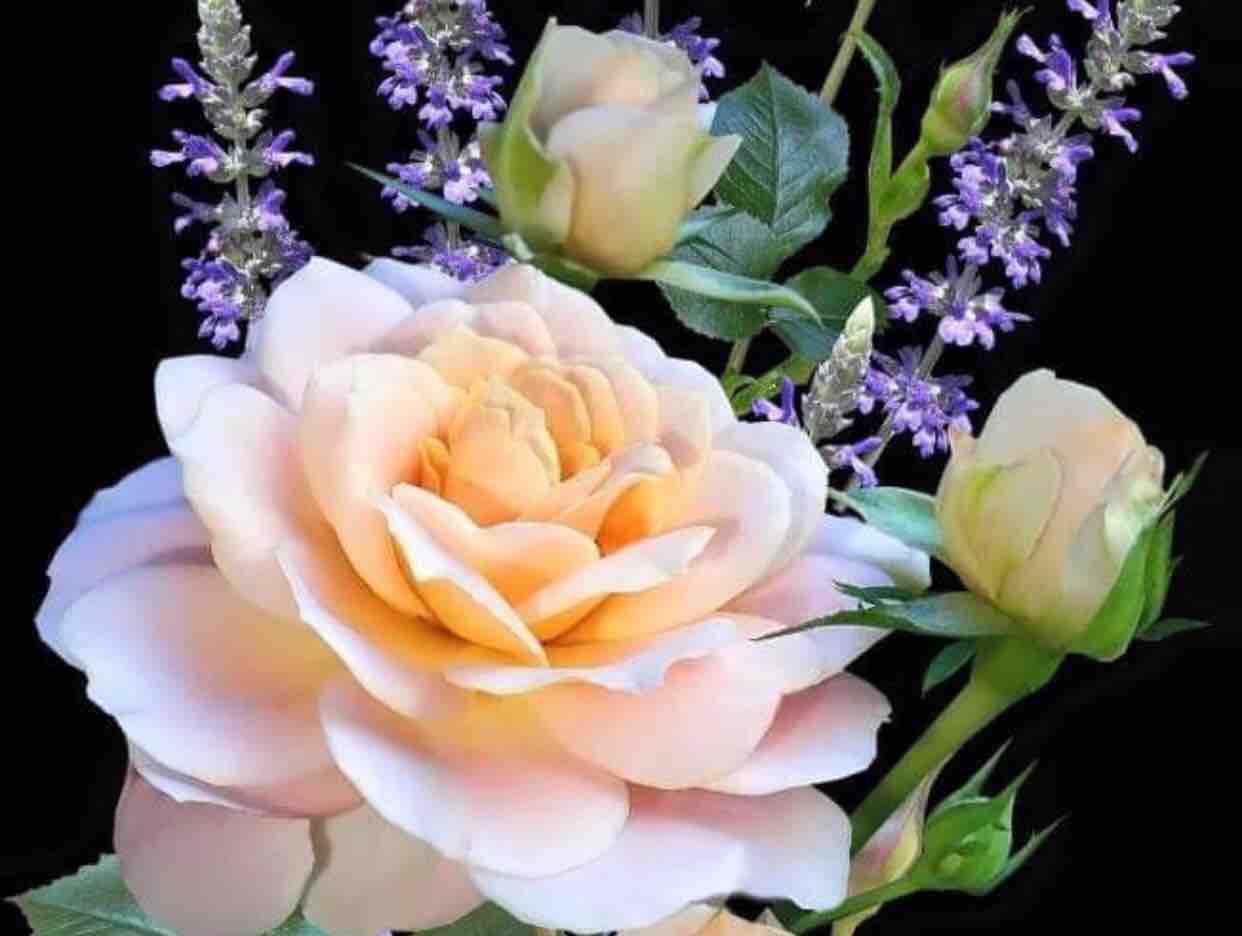 Cau Chuyen Dau Nam ❤️ Hà Phương & Chung Lê ❤️