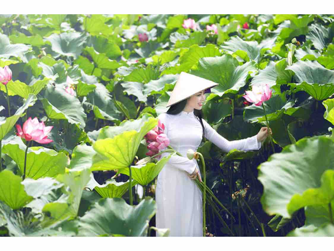 Nhịp Cầu Tri Âm / Minh Tâm & Tsai Ling 
