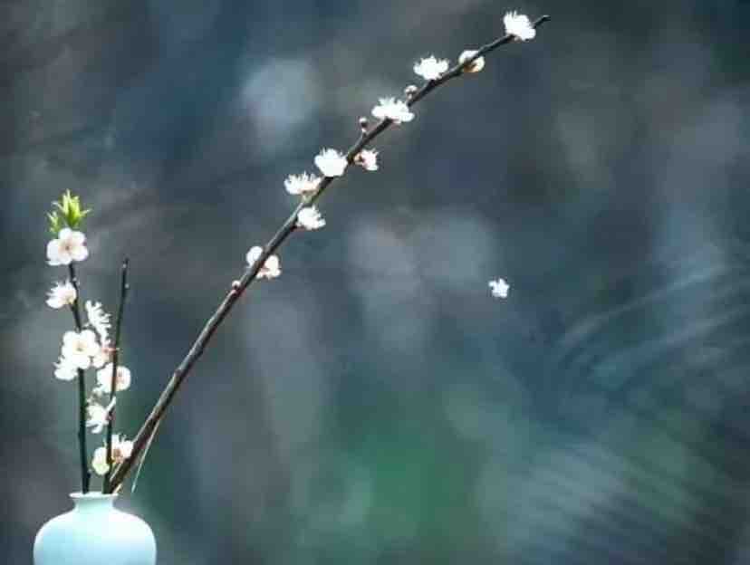 Ta Đã Từng Yêu. Misa