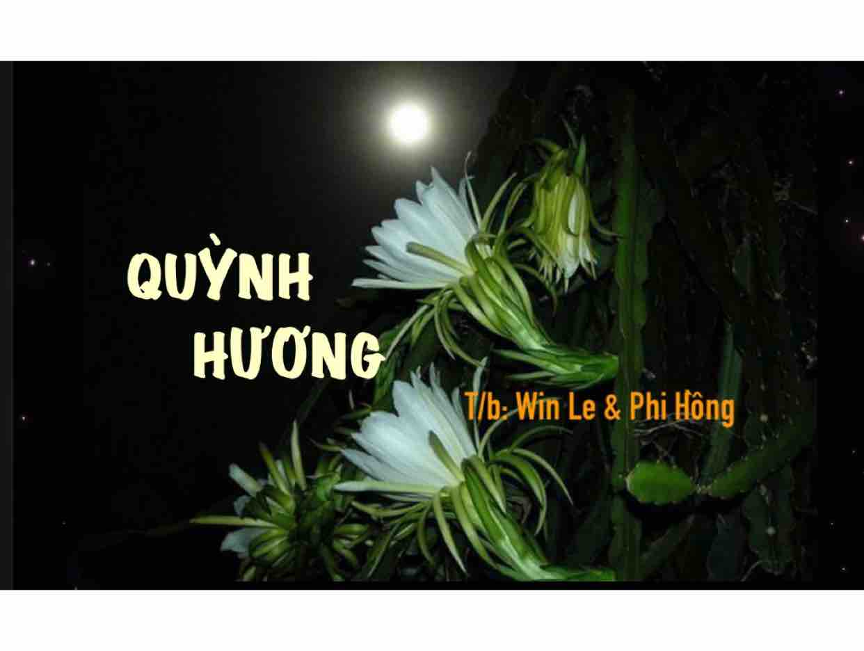 Quỳnh Hương 
